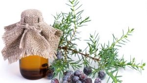 Juniper oil properties and its use in cosmetology