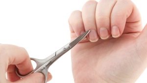 Manicure scissors: selection, use and care