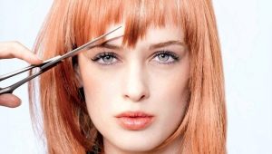 Milled bangs: varieties and techniques of execution