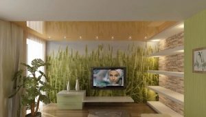 Feng Shui for an apartment or house: rules for planning and interior design