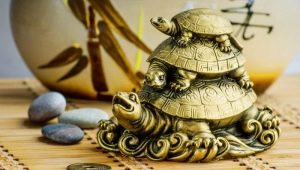 The meaning of the turtle: where to put, what does it symbolize in jewelry and talismans?
