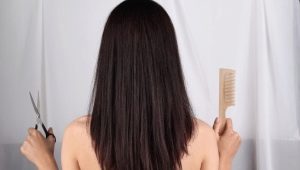 Haircut in a semicircle: ideas and tips for implementation