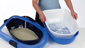 Maine Coon tray: how to choose and train a kitten to use it?