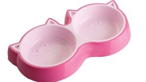 Bowls for cats: description of species, best models and features of choice