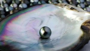 Black pearls: properties, where are they mined and for whom is it suitable?