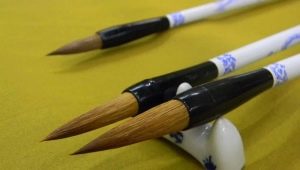 Calligraphy brushes: types, selection rules and tips for use