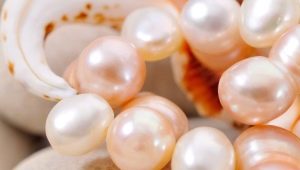 Cultured pearls: varieties and cultivation process
