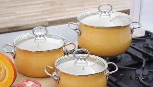 German casseroles: pros, cons and manufacturers' review
