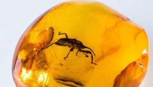 How much is amber worth?