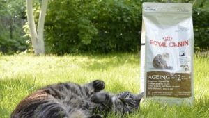 Choosing food for cats over 12 years old