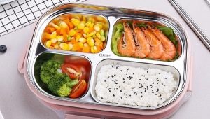 Heated food containers: description, types and tips for choosing