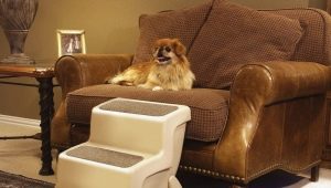 Dog ladders: what are they and how to choose?