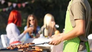 Shish kebab sets: varieties and recommendations for choosing