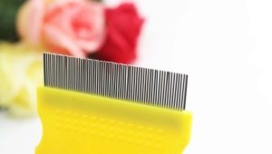 Combs for dogs: variety of types and features of choice