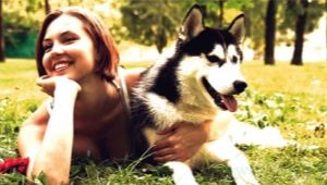 Companion dogs: popular breeds and features of choice