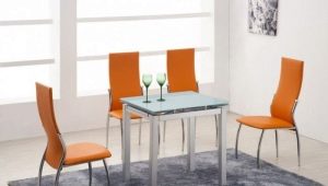 Chairs for the kitchen on a metal frame: features and choices