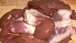 By-products for dogs: what can you give and how to choose them?