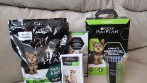 Dry food for small breed dogs