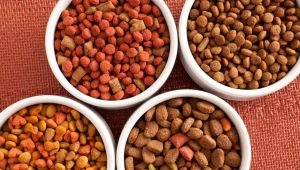 Super premium dry food for dogs