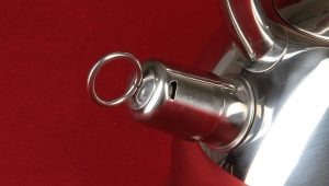 Whistle for a kettle: device and nuances of repair