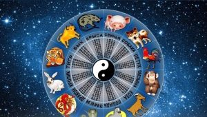 1977 - the year of what animal and what is characteristic for it?