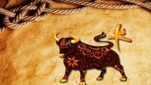 1997 - the year of what animal and what is typical for it?