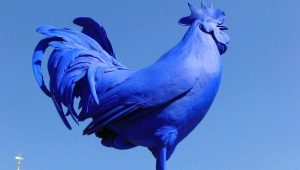 2005 - the year of which animal and how is it characterized?
