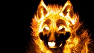 2006 - the year of which animal and how is it characterized?
