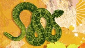 2025 - the year of which animal and what does it mean?