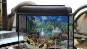 10 l aquariums: varieties, selection, equipment and maintenance