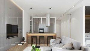 Kitchen-living room design 17 sq. m: layout and design options