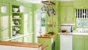 Pistachio cuisines: types and interior design