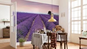 Photomurals for the kitchen, expanding the space: varieties, selection and installation rules