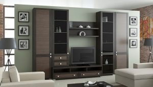 Slides in the living room: a variety of models and recommendations for choosing
