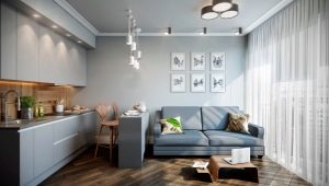 Kitchen-living room design ideas 14 sq. m