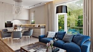 Ideas for interior design of a kitchen-living room in a modern style