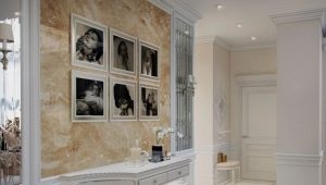 Paintings in the hallway on the wall: types and options in the interior