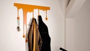 Wall hangers in the hallway: varieties, choices, ideas