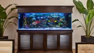 Aquarium stands: varieties and choices