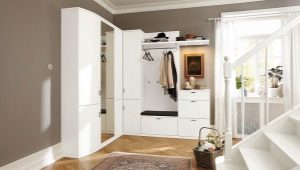 Hallways in a modern style: basic design rules and interesting ideas