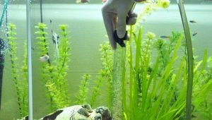Siphons for an aquarium: choosing a vacuum cleaner for cleaning the soil