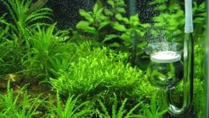 CO2 for an aquarium: description, varieties, selection and production