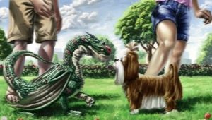Compatibility of Dragons and Dogs in different aspects of life