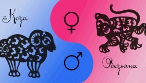 Goat and Monkey compatibility in friendship, work and love