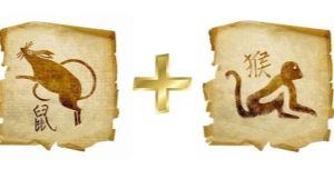 Rat and Monkey compatibility in friendship, work and love