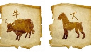 Dog and Ox compatibility