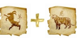 Compatibility of the Tiger and the Goat (Sheep) according to the eastern horoscope