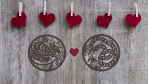Rat and Snake Compatibility