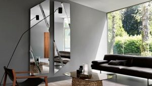 Mirrors in the living room interior: features, varieties, selection and installation