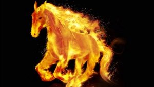 2026 - the year of which animal and what does it mean?
